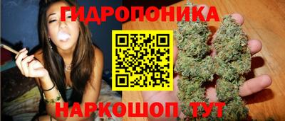 jwh Гусев
