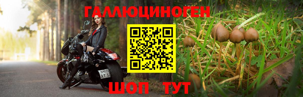 Псилоцибиновые грибы мицелий  Вход с VPN  купить   Удомля 